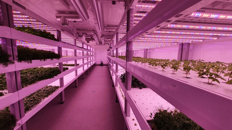 Green Build Systems Vertical Farms
