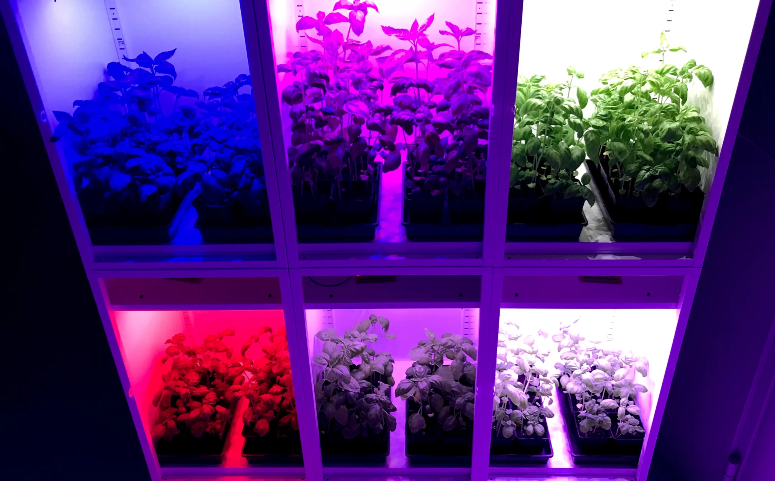 Indoor farming and horticulture light-emitting diodes – Share knowledge, drive development