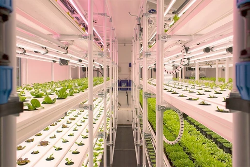 The 5 big challenges for Urban AgriTech