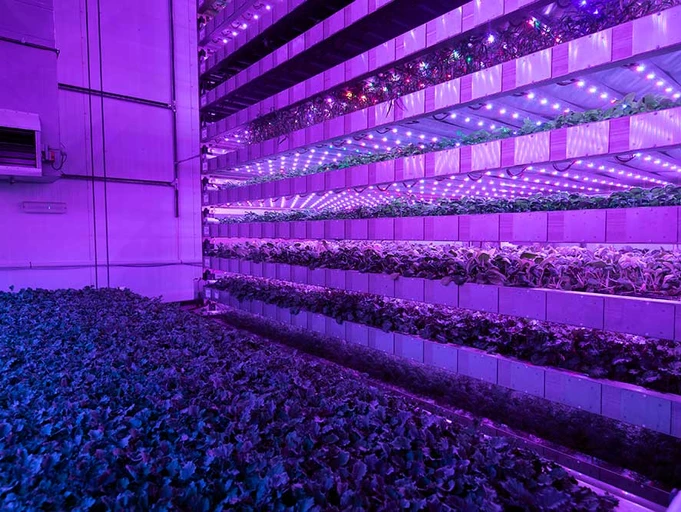 An introduction to vertical farming: sustainable food security for a changing world