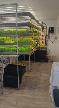 fg farm